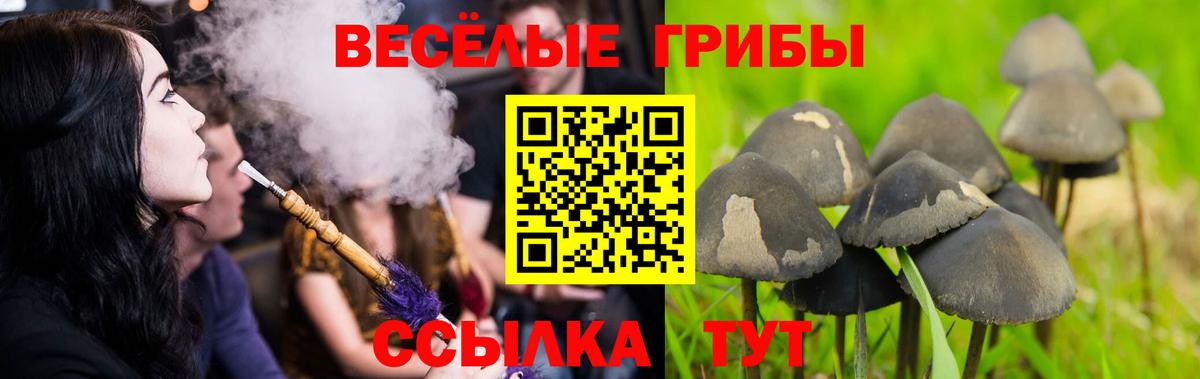 Псилоцибиновые грибы прущие грибы  Вход с VPN  Псилоцибиновые грибы мухоморы  Россошь 